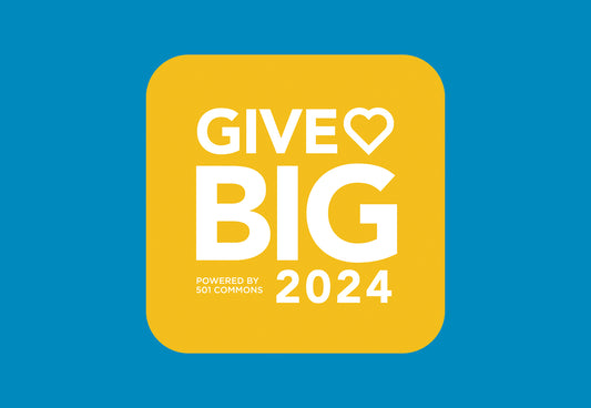 GiveBIG 2024